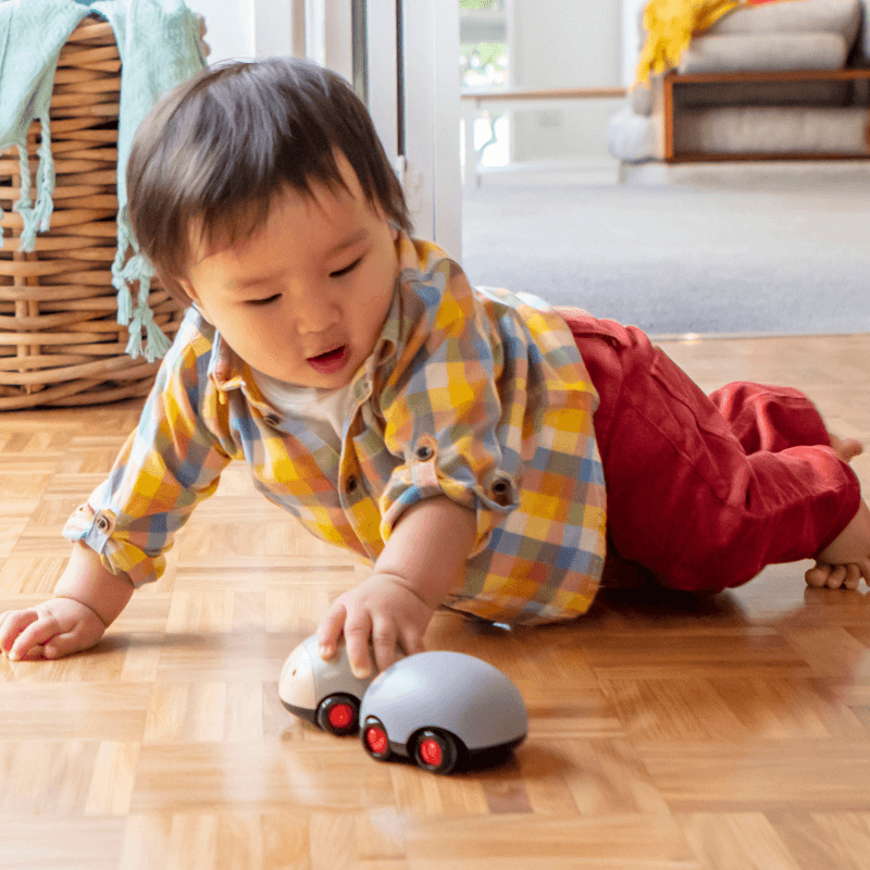 Pojazdy Naciagane - Australijskie Zwierzęta / Tiger Tribe
