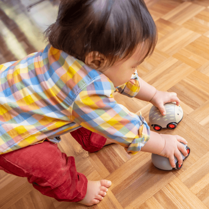 Pojazdy Naciagane - Australijskie Zwierzęta / Tiger Tribe