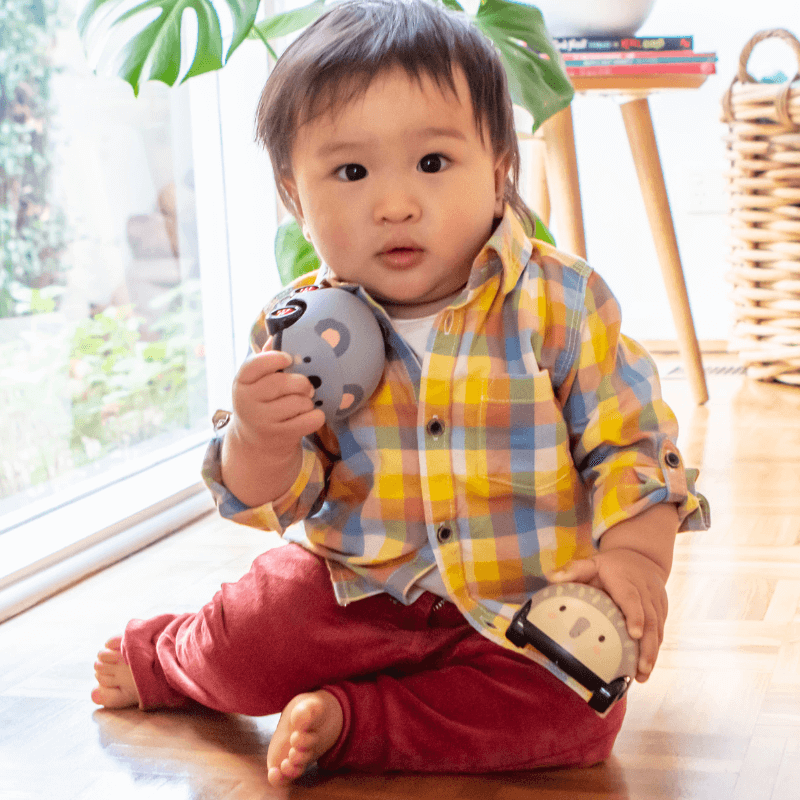 Pojazdy Naciagane - Australijskie Zwierzęta / Tiger Tribe