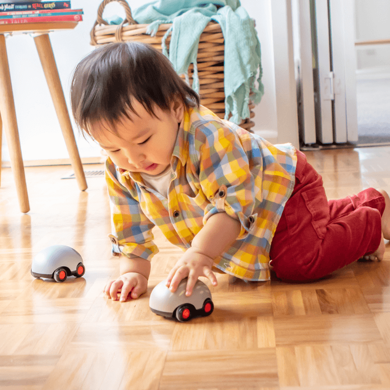 Pojazdy Naciagane - Australijskie Zwierzęta / Tiger Tribe