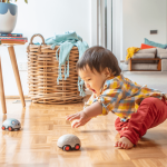 Pojazdy Naciagane - Australijskie Zwierzęta / Tiger Tribe