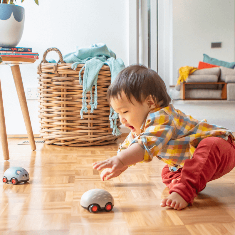 Pojazdy Naciagane - Australijskie Zwierzęta / Tiger Tribe