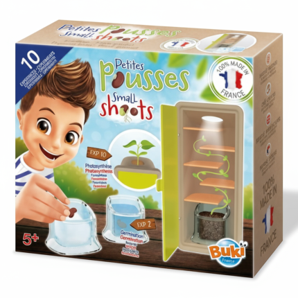 Mała szklarnia - obserwacja wzrostu roślinki / Buki