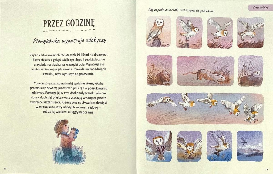 Warto czekać. Opowieści 5 minut przed snem / HarperCollins