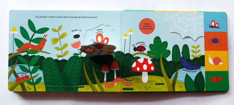 Zwierzęta. Akademia Mądrego Dziecka. Znajdź, otwórz, zobacz / HarperCollins