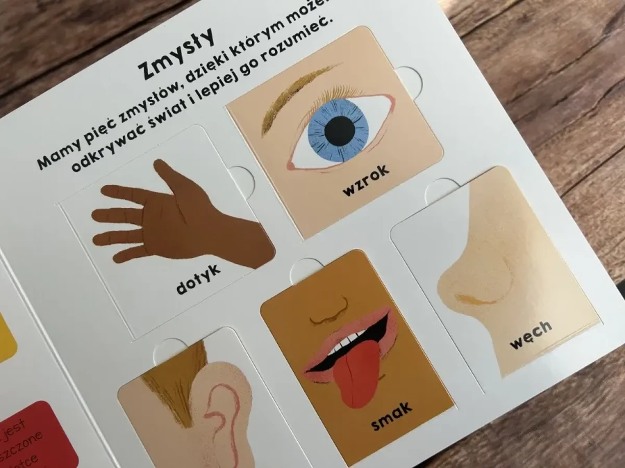 Moje ciało. Akademia Mądrego Dziecka. Mój świat / HarperCollins