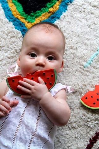 Gryzak Arbuz Wally / Oli and Carol