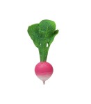 Gryzak Rzodkiewka Ramona / Oli and Carol