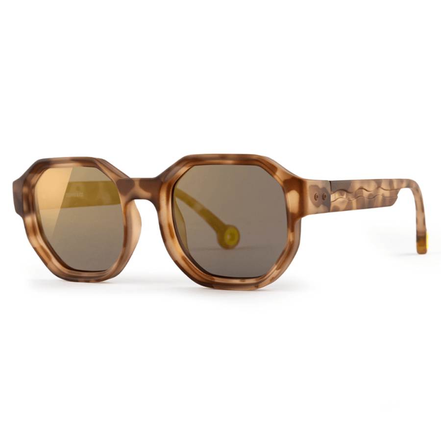 Okulary Creative D Tortoiseshell Polarized 10+ / Olivio & Co