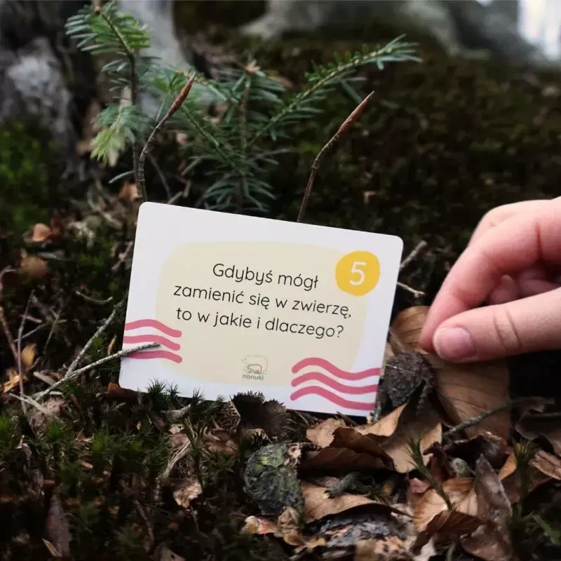 Karty w trasie / Nanuki