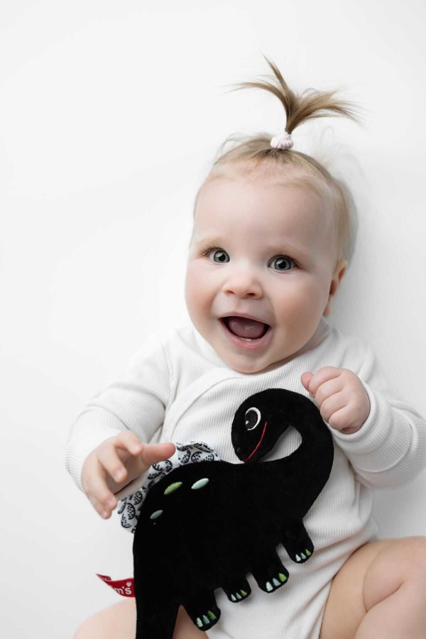 Dinozaur szeleszcząca szmatka kontrastowa / Mom's care