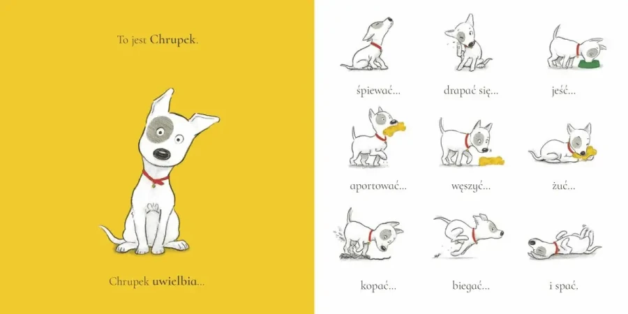 Chrupek i czerwona kurteczka / Wydawnictwo Wilga