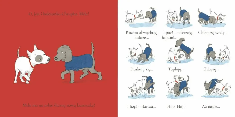 Chrupek i czerwona kurteczka / Wydawnictwo Wilga