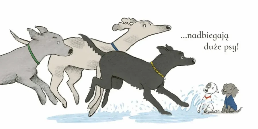 Chrupek i czerwona kurteczka / Wydawnictwo Wilga