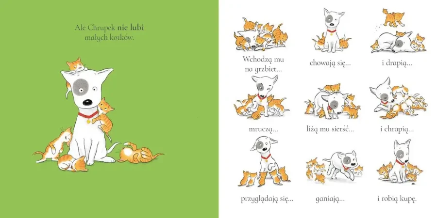 Chrupek i małe kotki / Wydawnictwo Wilga