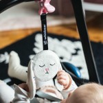 Szumiący Króliś Felcia z kolekcji Przyjaciele Whisbear®