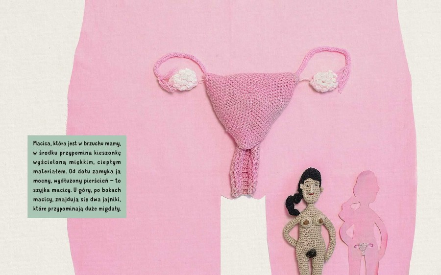 Pępek / Wydawnictwo Natuli