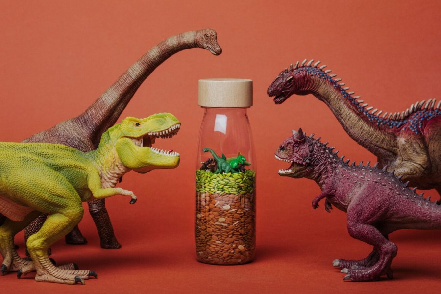 Butelka obserwacyjna - dinozaury JURASSIC / Petit Boum