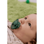 Zestaw dwóch smoczków pozycjonujących - Forest Dream, Frozen Sage / LUU Kids