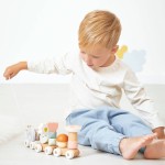 Magnetyczny pociąg z klockami i grzechotką do ciągnięcia Ślimak Sweet Cocoon 12m+ / Janod