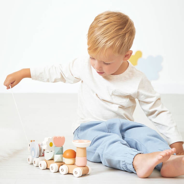 Magnetyczny pociąg z klockami i grzechotką do ciągnięcia Ślimak Sweet Cocoon 12m+ / Janod