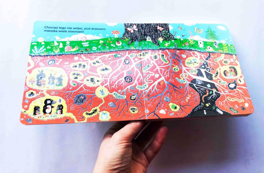 Drzewo. Śnieg. Akademia mądrego dziecka / HarperCollins