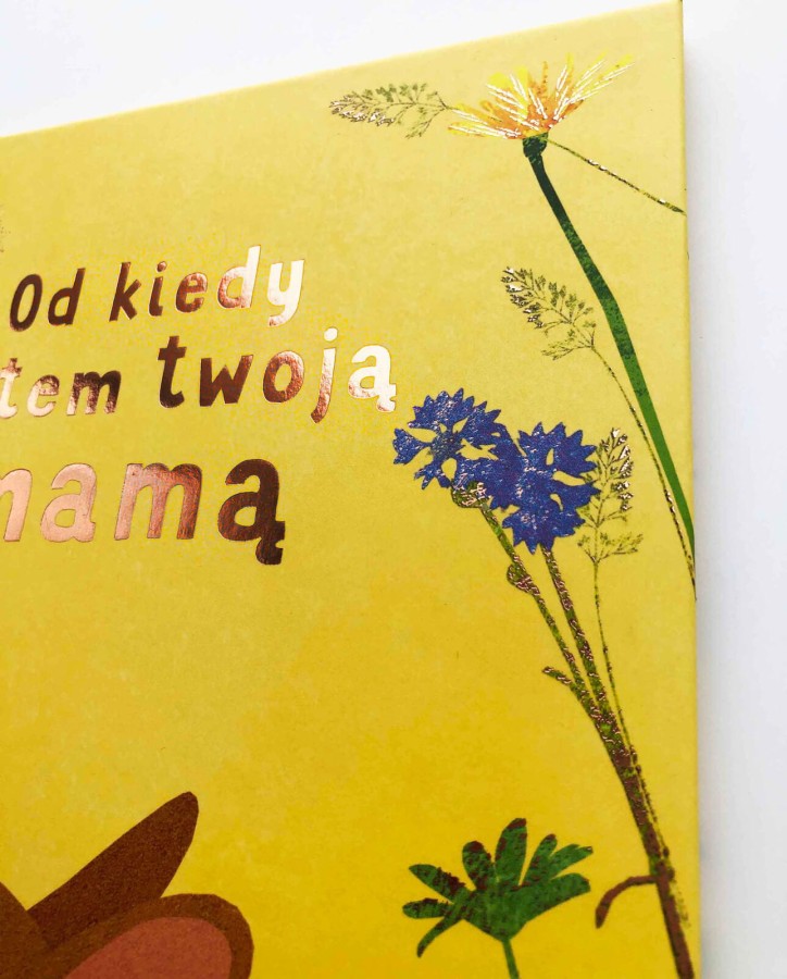 Od kiedy jestem twoją mamą / HarperCollins