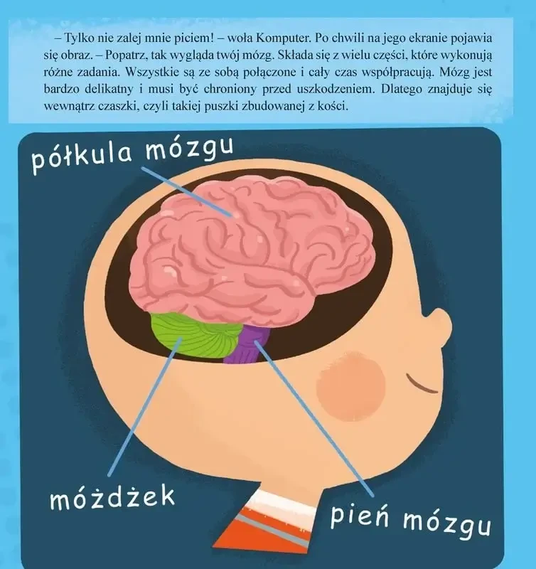Mózg / Wydawnictwo Dwukropek