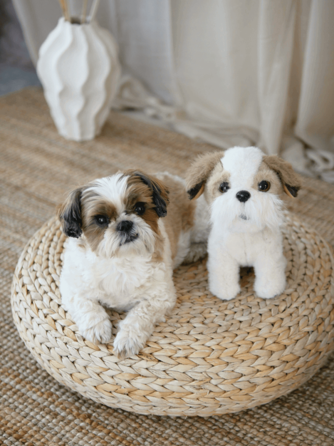 Przytulanka na całe życie "Kawa" / Neverending store Anna Załęcka