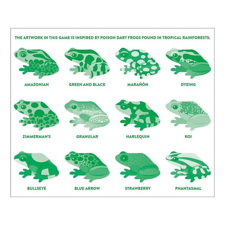 Gra Memory Tropikalne żaby 24 elementy 3-8 lat / Mudpuppy