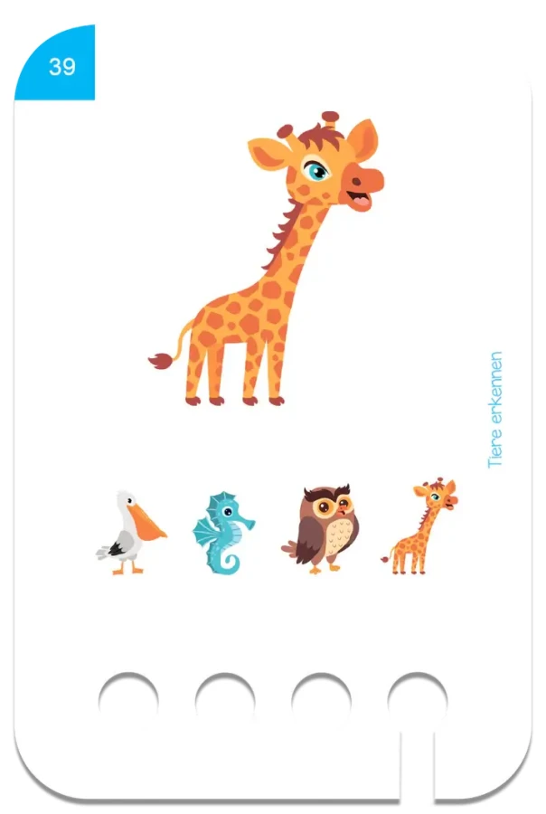 Rozpoznawanie Zwierząt. Karty WiemTo dla dzieci 2+ / WiemTo