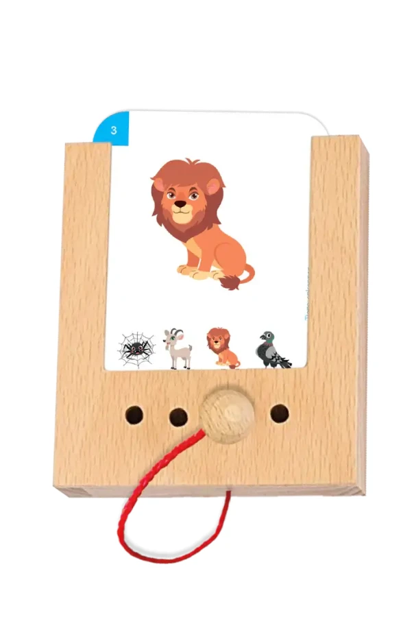 Rozpoznawanie Zwierząt. Karty WiemTo dla dzieci 2+ / WiemTo