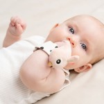 Zabawka na rączkę, 2 szt. - Happy Clouds Powder / Done by Deer