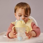 Bidon ze słomką 240 ml, Looney Tunes / b.box