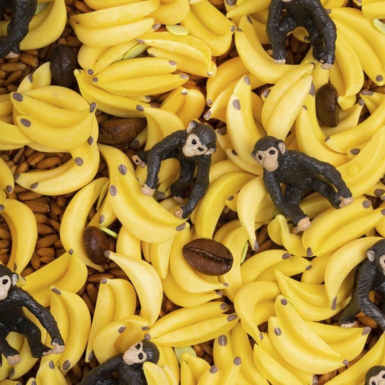 Butelka obserwacyjna - MAŁPKA / Petit Boum