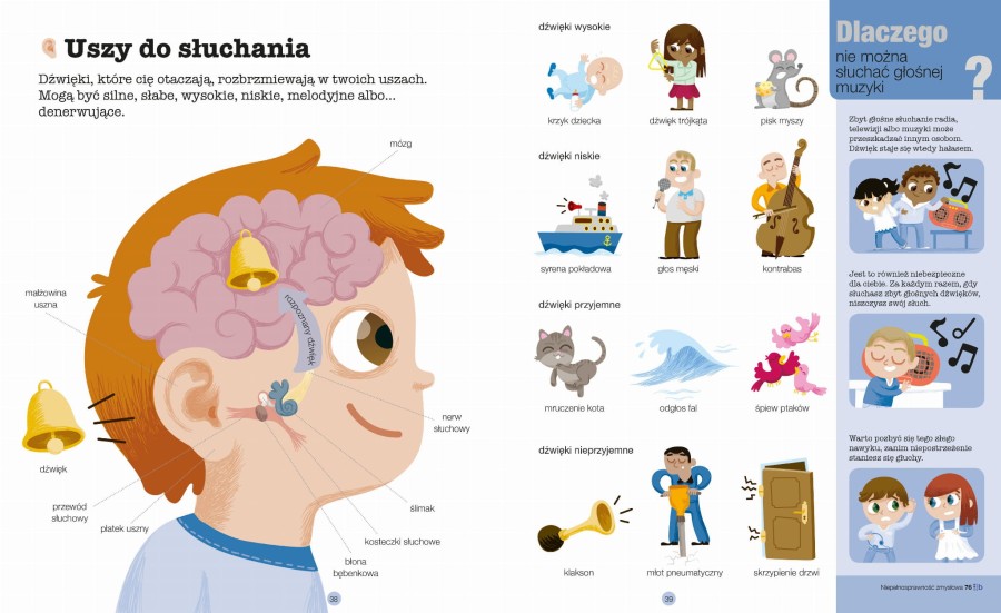 Pierwsza encyklopedia. Ciało człowieka / Wydawnictwo Wilga