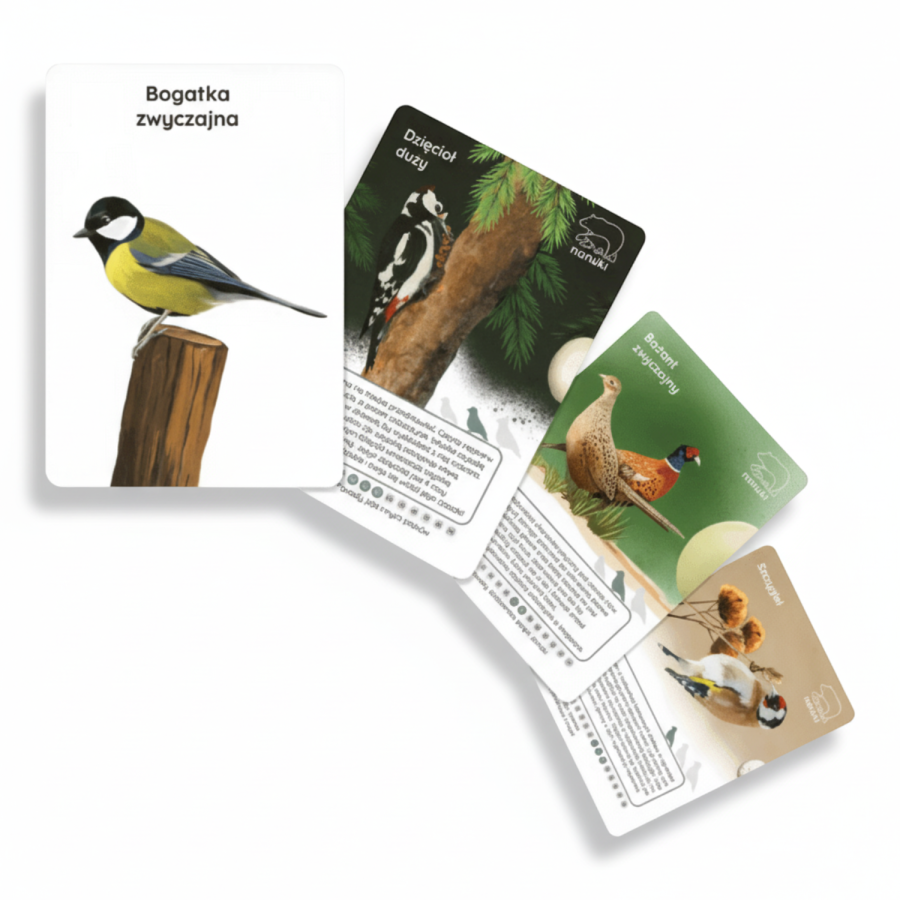 Karty Spacerowe - Ptaki / Nanuki