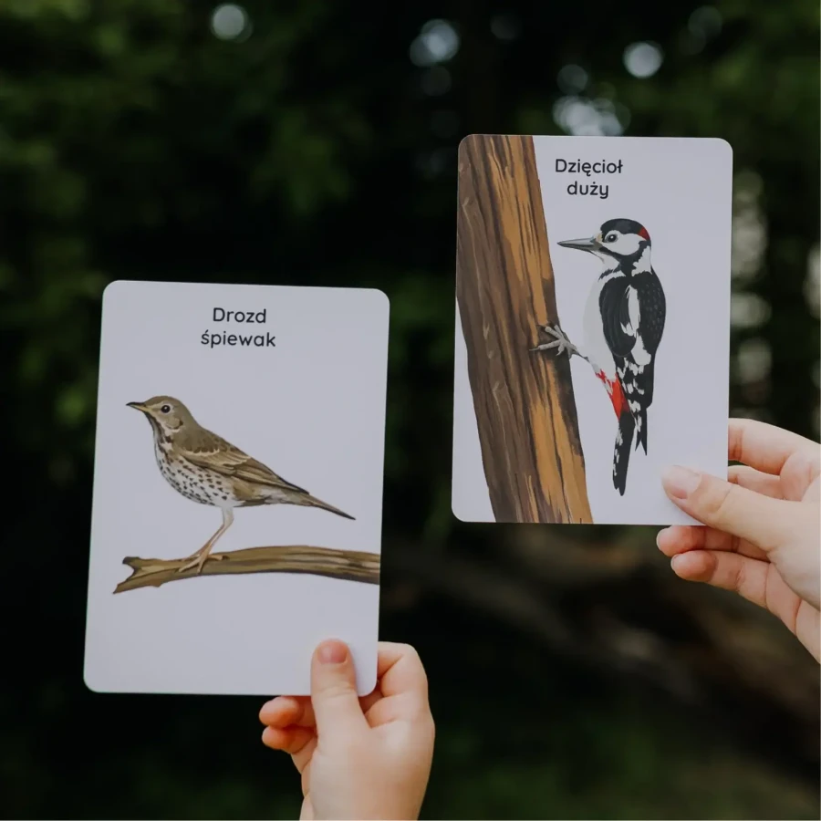 Karty Spacerowe - Ptaki / Nanuki