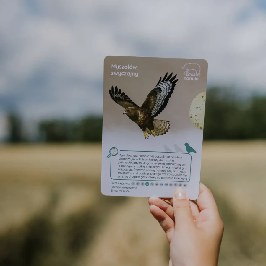 Karty Spacerowe - Ptaki / Nanuki