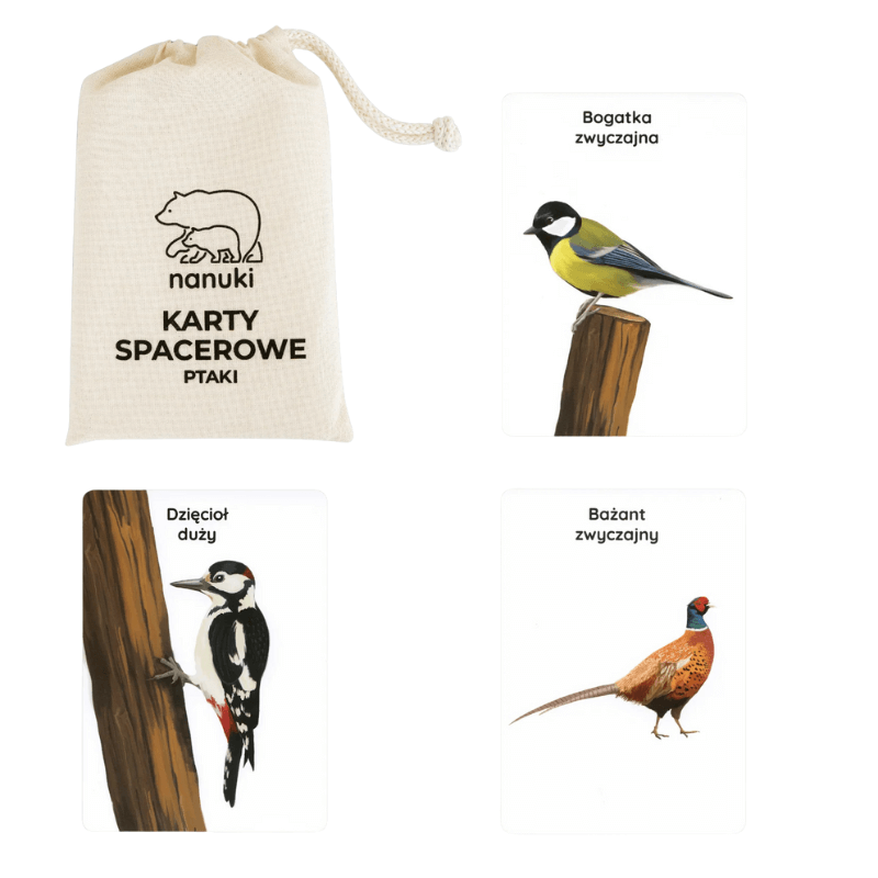 Karty Spacerowe - Ptaki / Nanuki