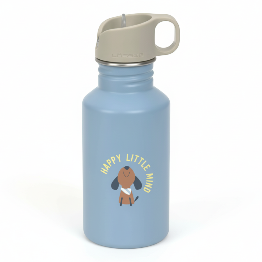 Bidon ze stali nierdzewnej z ustnikiem i uchwytem 500 ml Pattern Party Blue & green / Lassig