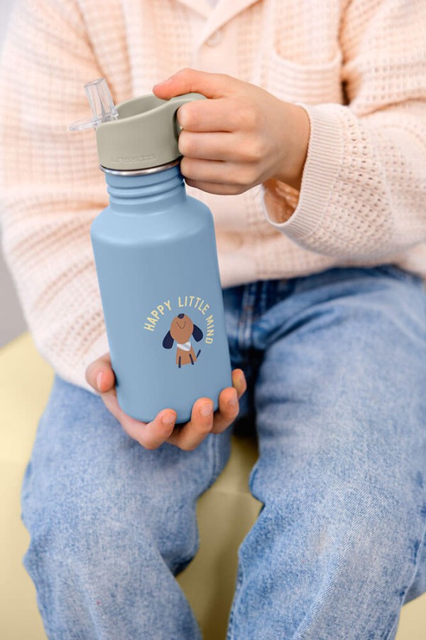 Bidon ze stali nierdzewnej z ustnikiem i uchwytem 500 ml Pattern Party Blue & green / Lassig