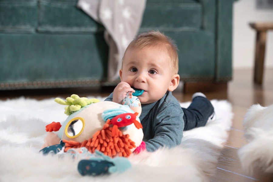 Sensoryczna Rafa Koralowa / Miniland