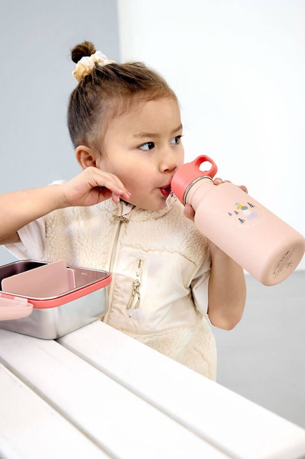 Bidon ze stali nierdzewnej z ustnikiem i uchwytem 500 ml Sunny Explorer rose&pink / Lassig