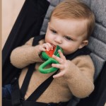 Gryzak-grzechotka - Arbuz / Oli and Carol