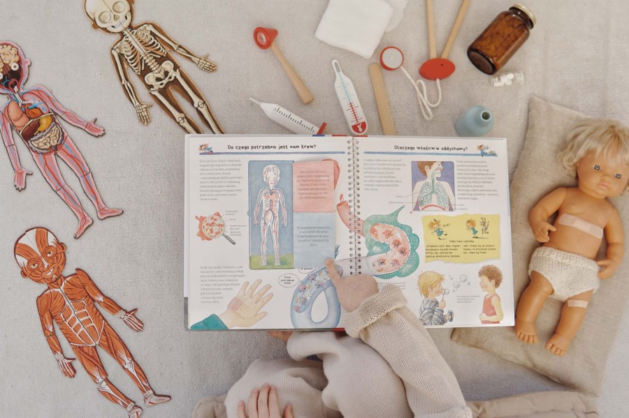 Poznajemy nasze ciało / Wydawnictwo SAM