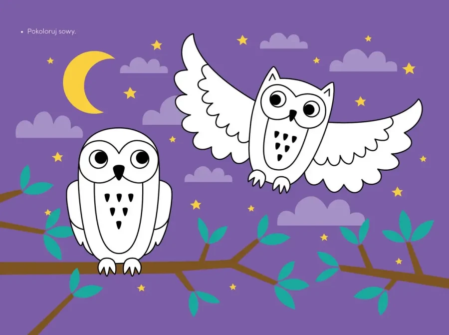 Przedszkolak rozwiązuje zadania - zeszyt niebieski / Wilga