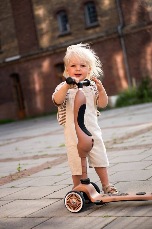 Highwaykick1 Push and Go 2w1 Jeździk i hulajnoga z rączką do prowadzenia 1-5 lat Mocha / Scootandride