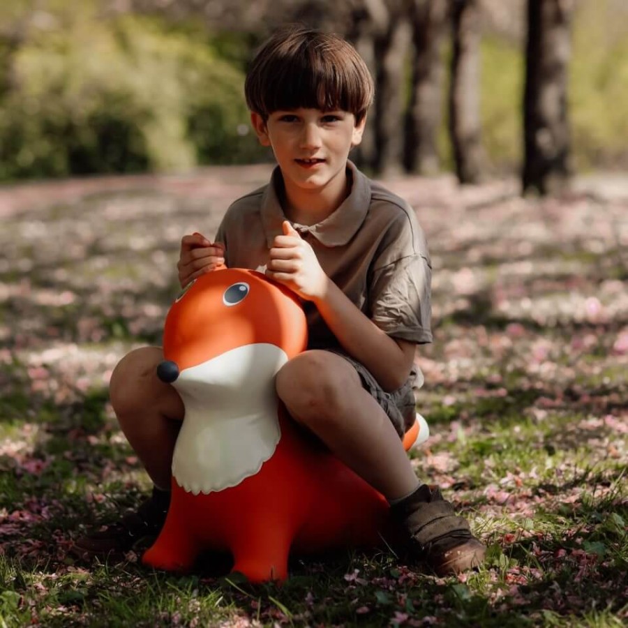 Skoczek - Lis / Find that Hippo