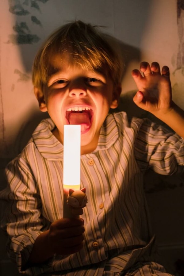 Przenośna lampka Zoo Light - Fox / The Zoofamily